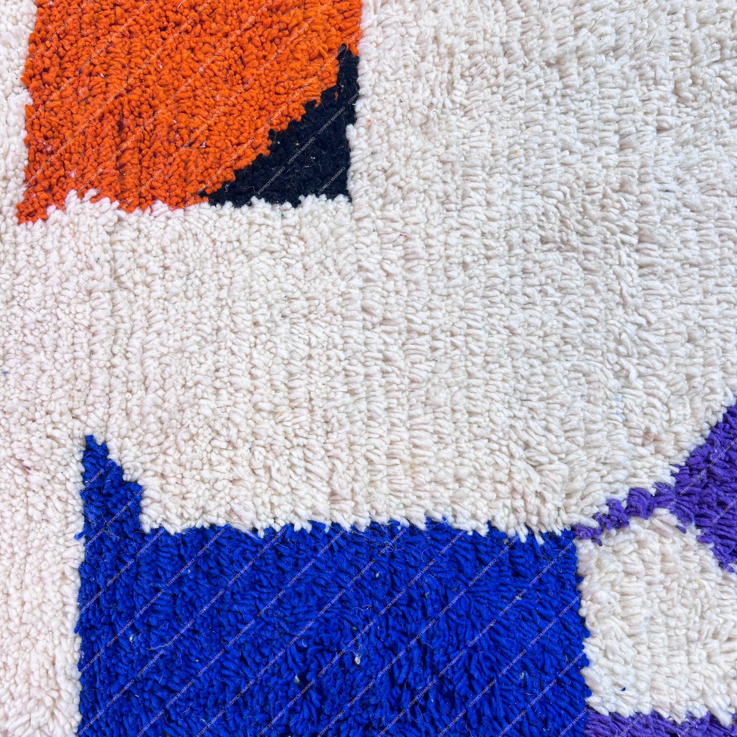 Multicolor Beni Ourain Rug