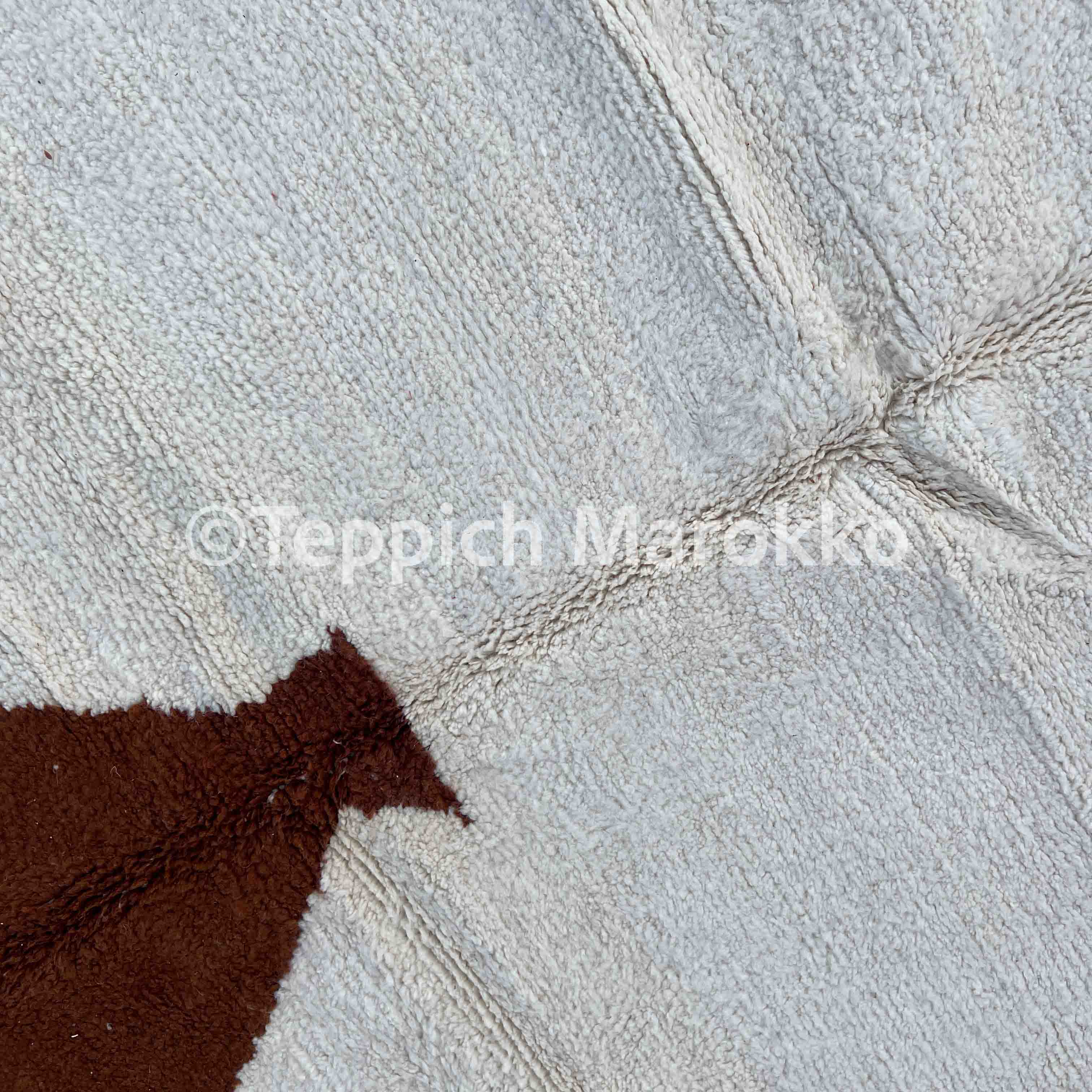 Fanida - Brown Moroccan Rug