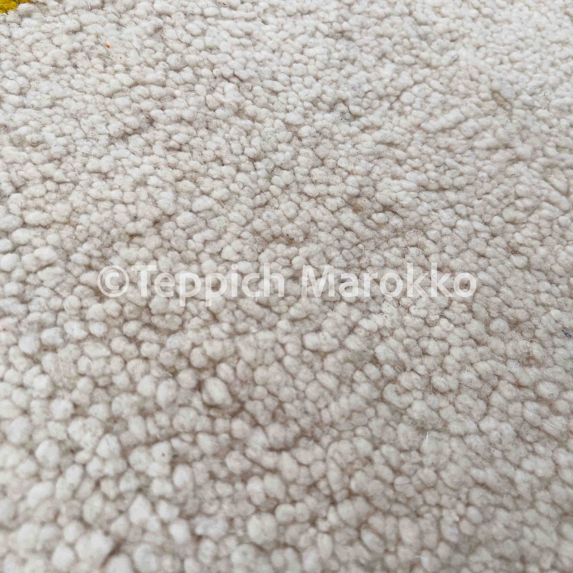 Fanid – Moroccan Rug