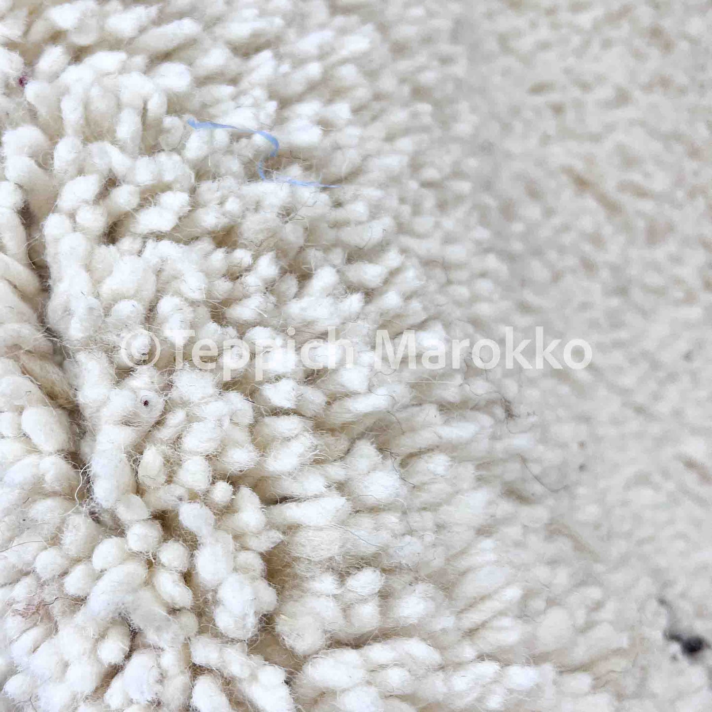 Aanbar - Brown Moroccan Rug