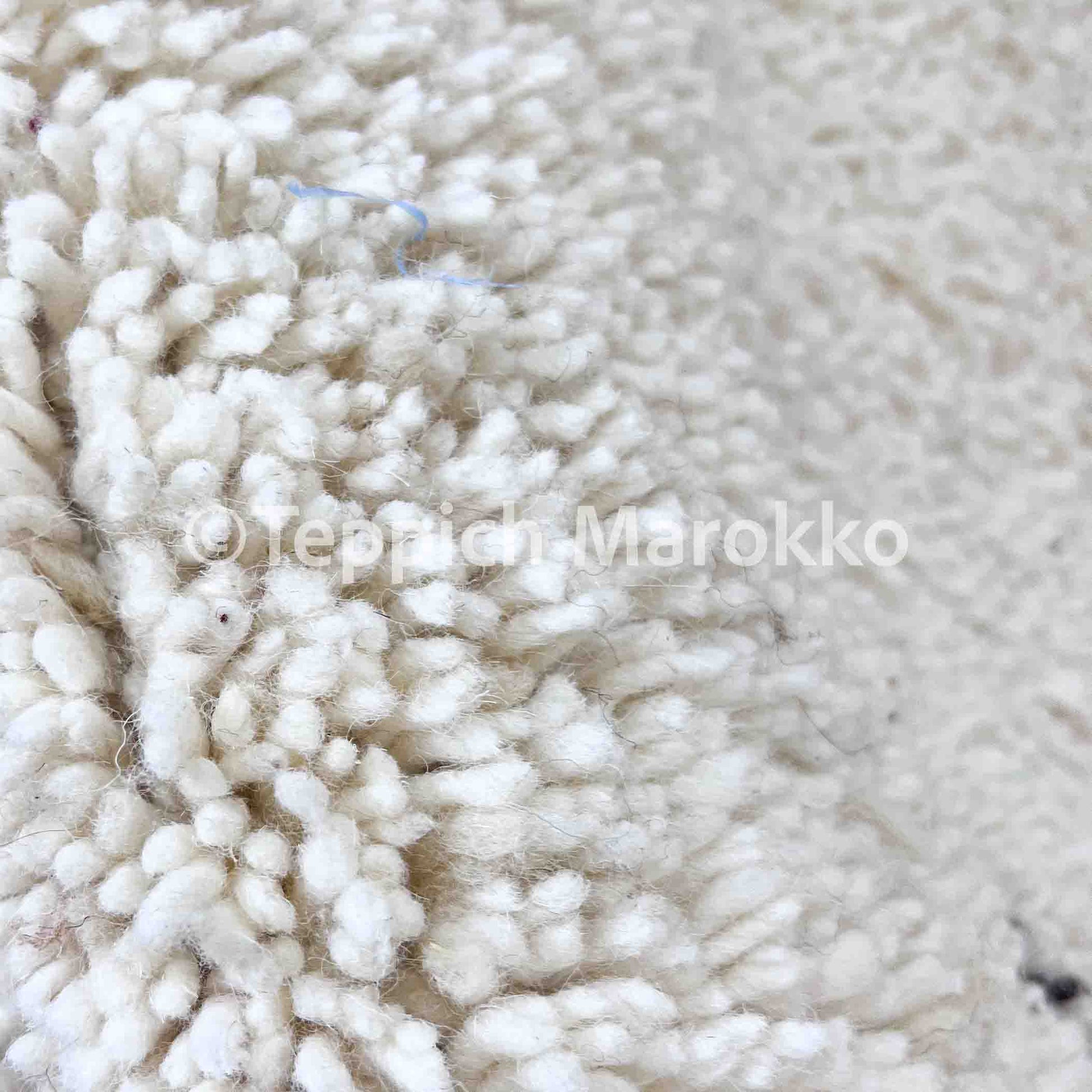 Aanbar - Brown Moroccan Rug